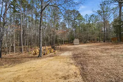125 Mary Drive, Chapin, SC 29063 - Photo 61