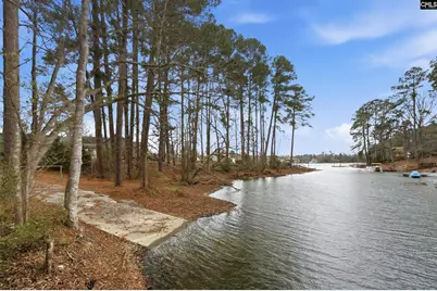 125 Mary Drive, Chapin, SC 29063 - Photo 81