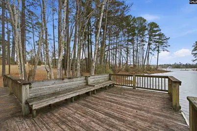 125 Mary Drive, Chapin, SC 29063 - Photo 81