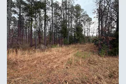 0 Saint Phillips Chruch Road, Prosperity, SC 29127 - Photo 3