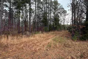 0 Saint Phillips Chruch Rd, Prosperity, SC 29127 - Photo 3