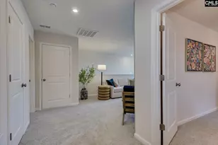 621 Basalt Ct, Chapin, SC 29036 - Photo 45