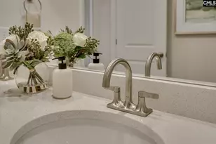 621 Basalt Ct, Chapin, SC 29036 - Photo 51