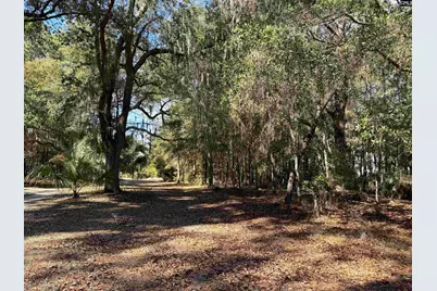 8384 Palmetto Road, Edisto Island, SC 29438 - Photo 3