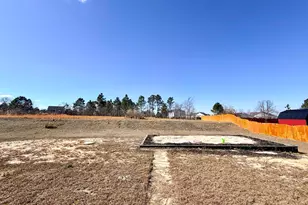 444 Vanburen Ct, Gaston, SC 29053 - Photo 23