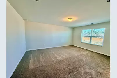 444 Van Buren Court, Gaston, SC 29053 - Photo 11