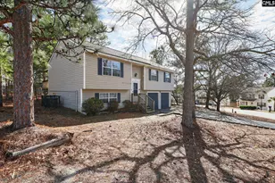 215 Berry Ridge Cir, Columbia, SC 29229 - Photo 3