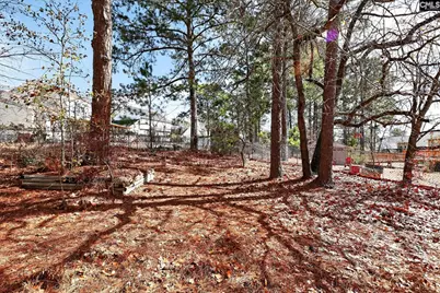 215 Berry Ridge Circle, Columbia, SC 29229 - Photo 27