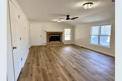 301-A Amicks Ferry Road, Chapin, SC 29036 - Photo 3