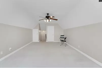 366 Gallery Cliff Drive, Chapin, SC 29036 - Photo 19