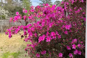 4603 Trenholm Rd, Columbia, SC 29206 - Photo 31