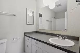 109 Branch Hill Dr, Elgin, SC 29045 - Photo 25