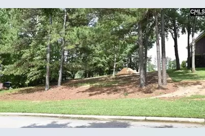 104 Bay Pointe Drive, Chapin, SC 29036 - Photo 3