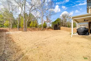 220 Rattle Trap Wy, Lexington, SC 29072 - Photo 43