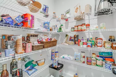 220 Rattle Trap Way, Lexington, SC 29072 - Photo 13