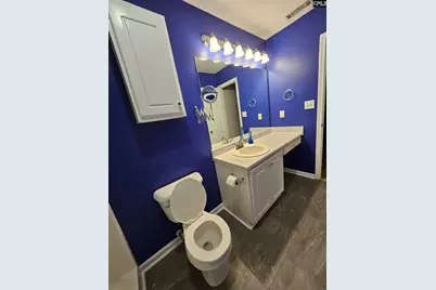 217 Twin Eagles Drive, Columbia, SC 29203 - Photo 13