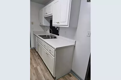 217 Twin Eagles Drive, Columbia, SC 29203 - Photo 5