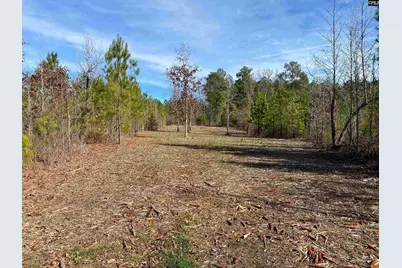 900 Piney Wood Road, Saluda, SC 29138 - Photo 17