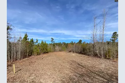 900 Piney Wood Road, Saluda, SC 29138 - Photo 5