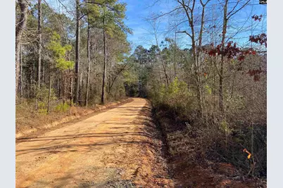 900 Piney Wood Road, Saluda, SC 29138 - Photo 23