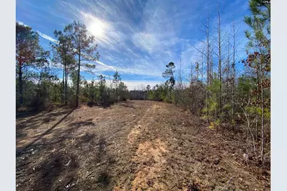 900 Piney Wood Road, Saluda, SC 29138 - Photo 3