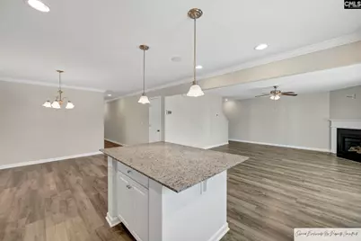 57 Brazilian Drive, Elgin, SC 29045 - Photo 13