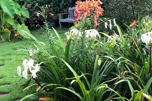 310 Aiken Hunt Cir, Columbia, SC 29223 - Photo 83