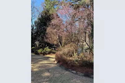 310 Aiken Hunt Circle, Columbia, SC 29223 - Photo 81