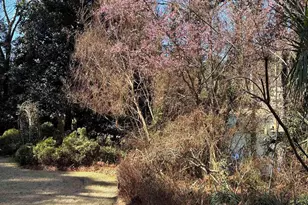 310 Aiken Hunt Cir, Columbia, SC 29223 - Photo 81