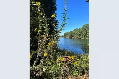 310 Aiken Hunt Circle, Columbia, SC 29223 - Photo 79