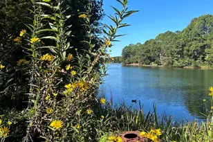 310 Aiken Hunt Cir, Columbia, SC 29223 - Photo 79