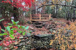 310 Aiken Hunt Cir, Columbia, SC 29223 - Photo 69