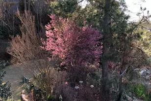 310 Aiken Hunt Cir, Columbia, SC 29223 - Photo 73