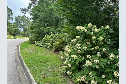 310 Aiken Hunt Circle, Columbia, SC 29223 - Photo 75