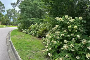 310 Aiken Hunt Cir, Columbia, SC 29223 - Photo 75