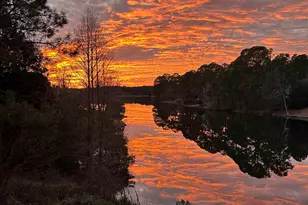 310 Aiken Hunt Cir, Columbia, SC 29223 - Photo 67