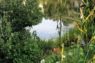 310 Aiken Hunt Cir, Columbia, SC 29223 - Photo 85