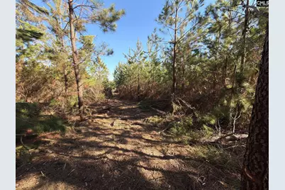 Bff II 8 Brunson Teal Road Bff II 8, Patrick, SC 29854 - Photo 7