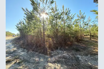 Bff II 8 Brunson Teal Road Bff II 8, Patrick, SC 29854 - Photo 21