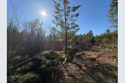 Bff II 8 Brunson Teal Road Bff II 8, Patrick, SC 29854 - Photo 13