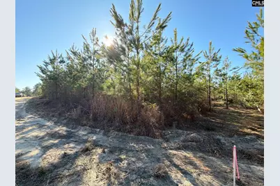 Bff II 8 Brunson Teal Road Bff II 8, Patrick, SC 29854 - Photo 25