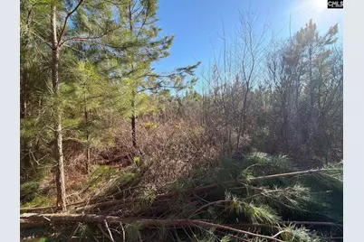 Bff II 8 Brunson Teal Road Bff II 8, Patrick, SC 29854 - Photo 15