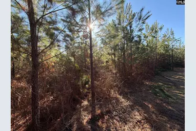 Bff II 8 Brunson Teal Road Bff II 8, Patrick, SC 29854 - Photo 19