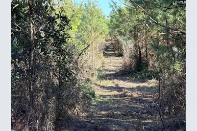 Bff II 8 Brunson Teal Road Bff II 8, Patrick, SC 29854 - Photo 11