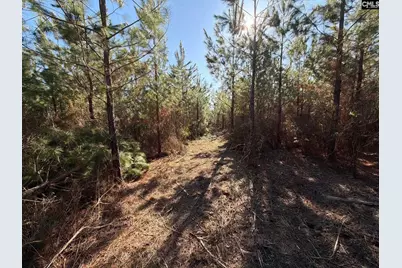 Bff II 8 Brunson Teal Road Bff II 8, Patrick, SC 29854 - Photo 3