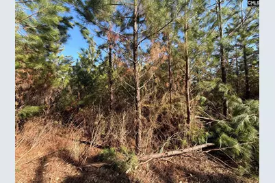 Bff II 8 Brunson Teal Road Bff II 8, Patrick, SC 29854 - Photo 5