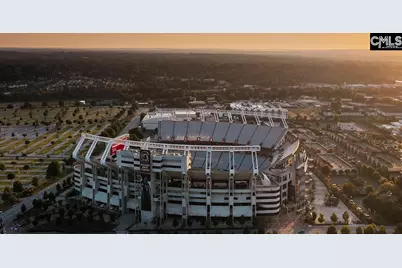 579 Swamp Grass Drive, Columbia, SC 29209 - Photo 9