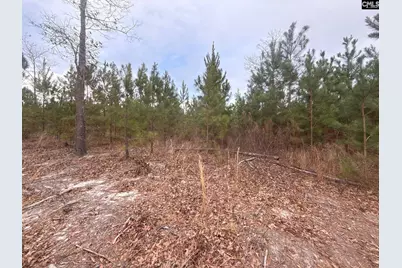 Qbf 9 Quattlebaum Road Qbf 9, Leesville, SC 29070 - Photo 1