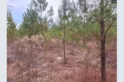 Qbf 9 Quattlebaum Road Qbf 9, Leesville, SC 29070 - Photo 7