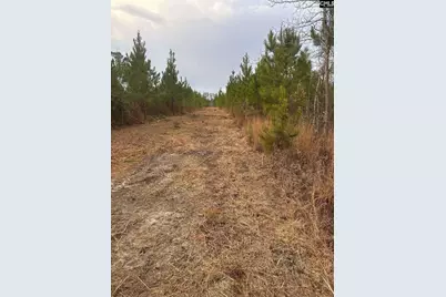 Qbf 9 Quattlebaum Road Qbf 9, Leesville, SC 29070 - Photo 9